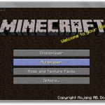 multiplayer game